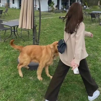 一千个小吻