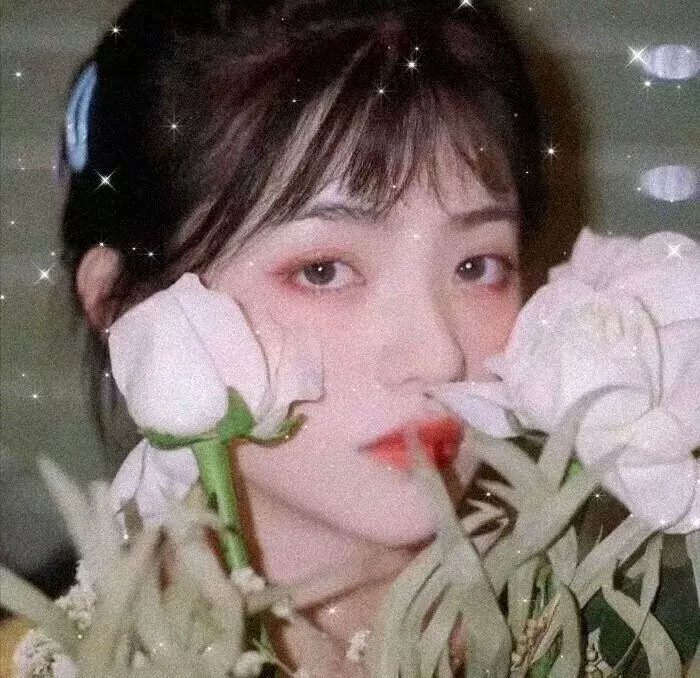 龙凤春光