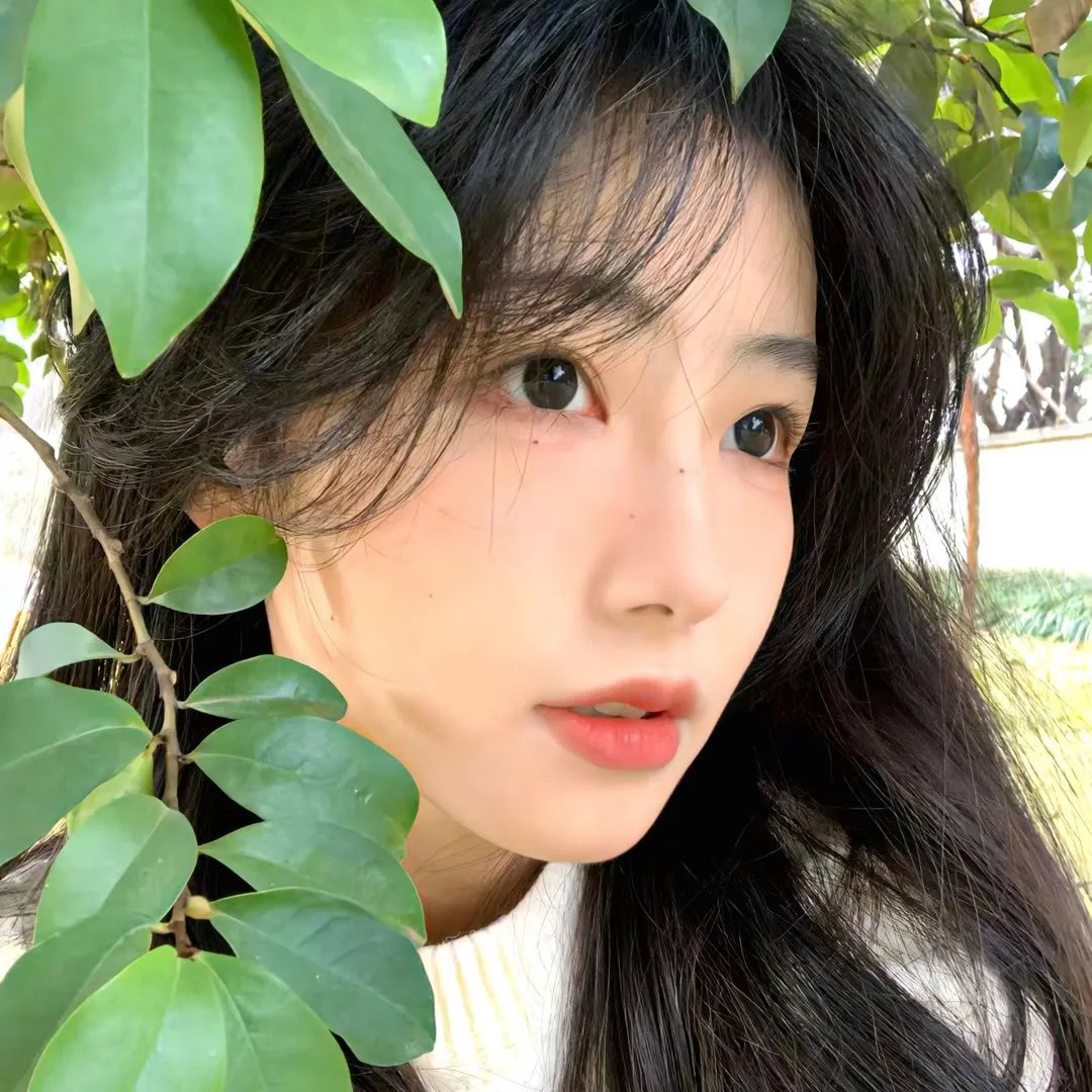 少女革命:思春期默示录